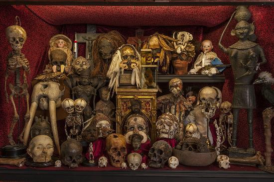 The Viktor Wynd Museum of Curiosities